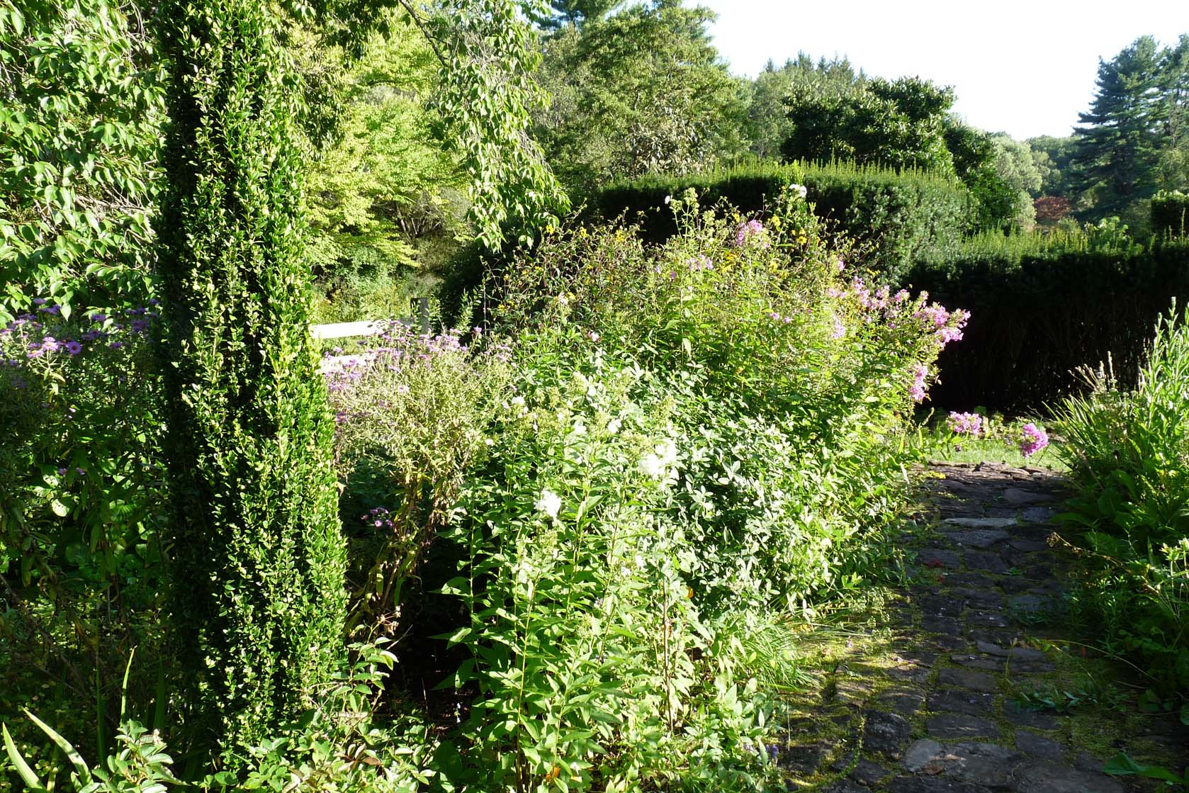 Chester Garden Club